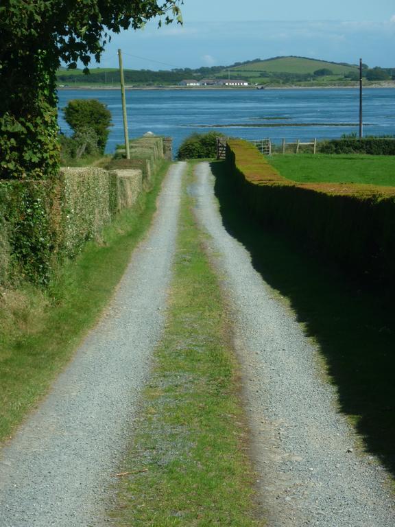Seal Cabin Villa Strangford Kültér fotó