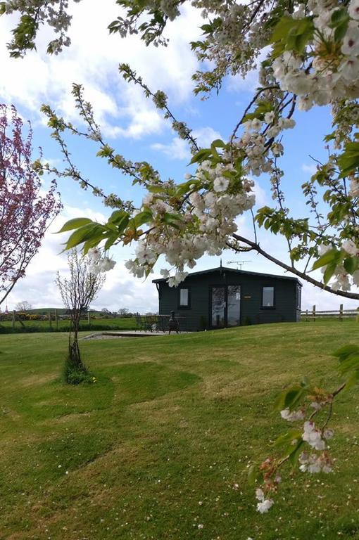 Seal Cabin Villa Strangford Kültér fotó