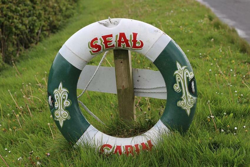 Seal Cabin Villa Strangford Kültér fotó